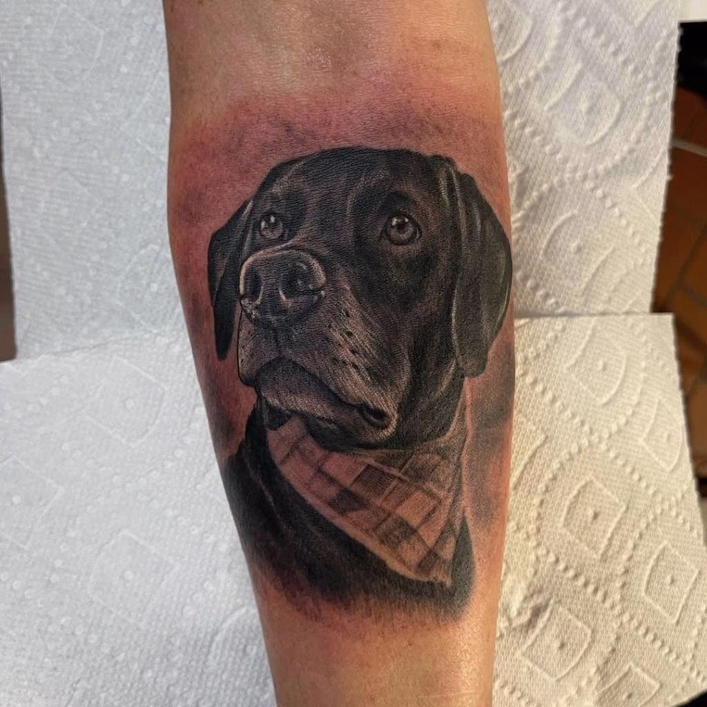 94+ Labrador Tattoo Designs for Men and Women with Meaning 14 Realistic Labrador Portrait Tattoo Idea