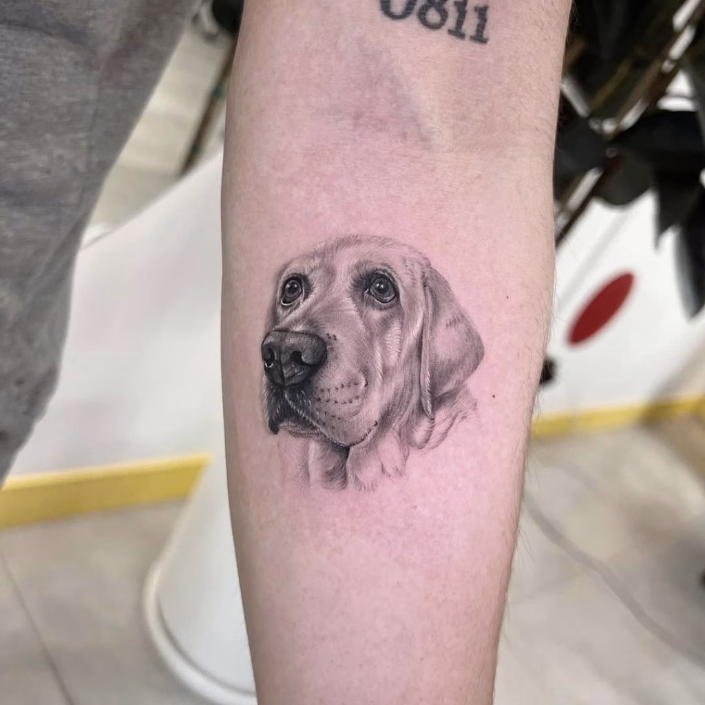 94+ Labrador Tattoo Designs for Men and Women with Meaning 8 Small Labrador Tattoo